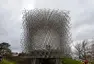 The Hive