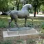 Horse with dog