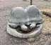 Turtle group