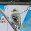 Wandgemälde eines Zeisigs