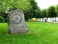 Rette den Wald
