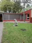 Medvídek Medvídek