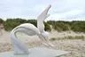 The Dancer V, A marine mammal invoking higher spirits The Dancer V, A marine mammal invoking higher spirits