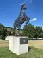 Lipizzaner Lipizzaner