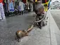 Thief