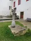 Pianta Pianta