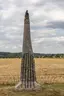 Květ z mojí zahrady Květ z mojí zahrady