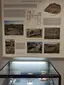Museo Civico di Sanremo Museo Civico di Sanremo