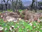 Dolmen de l'Agriotier