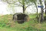 Dolmen de Peyre Dusets