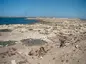 Mareia