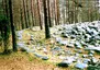 Cmentarzysko w Węsiorach