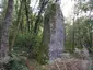 Menhir dit la Quenouille du Diable Menhir dit la Quenouille du Diable