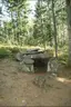 Dolmen de Purifaing Dolmen de Purifaing