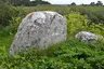 Menhir du Sud
