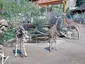 Cheyenne Mountain Zoo Cheyenne Mountain Zoo