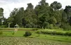 Victoria Park