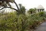 Königliche Botanische Gärten Königliche Botanische Gärten