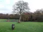 The Lawns