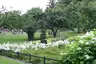 Parc d'Otto-Iivari Meurman