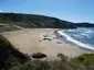 Playa Carniciega