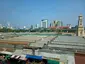 Chatuchak Market