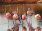 Zoo Le Nouveau Monde