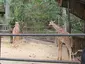 Emperor Valley Zoo