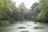 Jardin Botanique De Deshaies Jardin Botanique De Deshaies