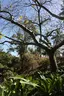 Andromeda Botanic Gardens Andromeda Botanic Gardens