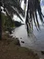 Plage de Babin