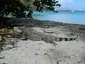 Maho Bay Beach Maho Bay Beach