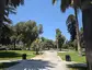 White Park