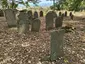 Jewish cemetery in Neustupov Jewish cemetery in Neustupov