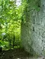 Ruine Scharfeneck