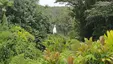 Akaka Falls State Park Akaka Falls State Park