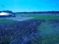 Demetral Field