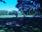 Washington Manor Park