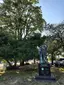 McAuley Park