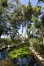 Jardin Botanique de Vauville
