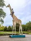 Man on giraffe Man on giraffe