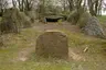 Großsteingrab Altenmedingen 3