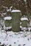 Pestkreuz