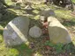 Großsteingrab Liepen 3
