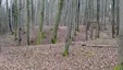 Burgstelle Tiefenbach