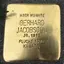 Stolperstein für Gerhard Jacobsohn