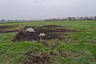 Großsteingrab im Ahlen-Falkenberger Moor