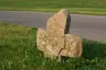 Wiedemen conciliation cross