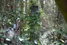 Wayside shrine