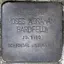 Moses Abraham Bardfeld